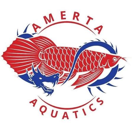 Amerta Aquatics